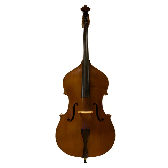 NFS 3/4 English Double Bass By Thomas Martin - Cover Image